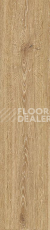 Кварцвиниловые полы Vertigo Trend / Wood Registered Emboss 7102 BLANCH OAK BEIGE 228.6 мм X 1219.2 мм фото 1 | FLOORDEALER